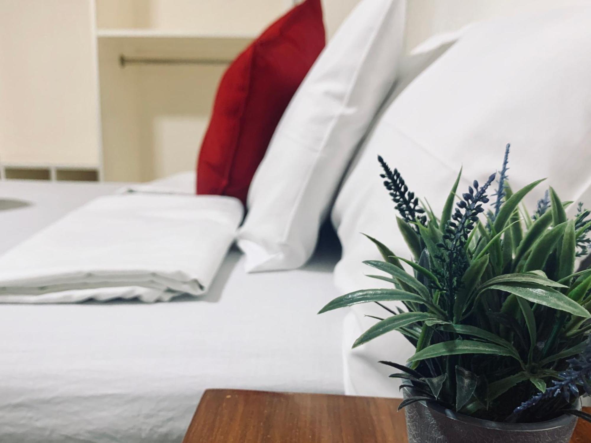 Mayumi Lodge 푸에르토프린세사 객실 사진